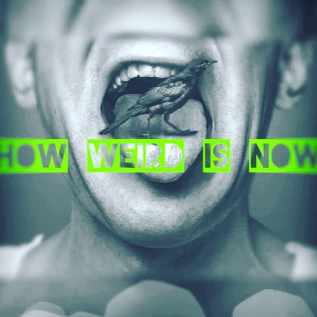 Our new single, "How Weird Is Now" is out today. Inauguration Day special.
Recorded @boutiqueempire • Mixed @thebeaumontstudios Now available across all music platforms.